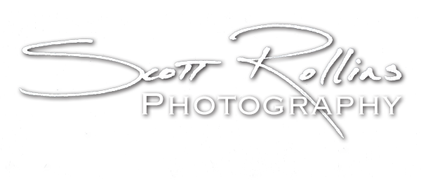 Scott Rollins | Photography |